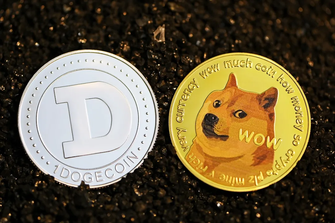 DOGE·SHIB·PEPE·BONK 대장 밈코인 데이터 거론 도지·시바·페페·봉크 등 대장 밈코인 로고와 차트를 표현해 밈코인 집중 구조를 보여주는 데이터 이미지